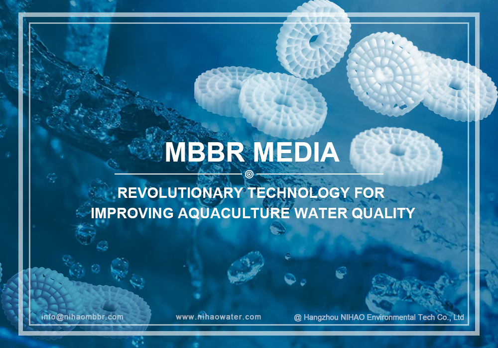 MBBR: Tecnologia Revolucionária para Melhorar a Qualidade da Água de Aquicultura